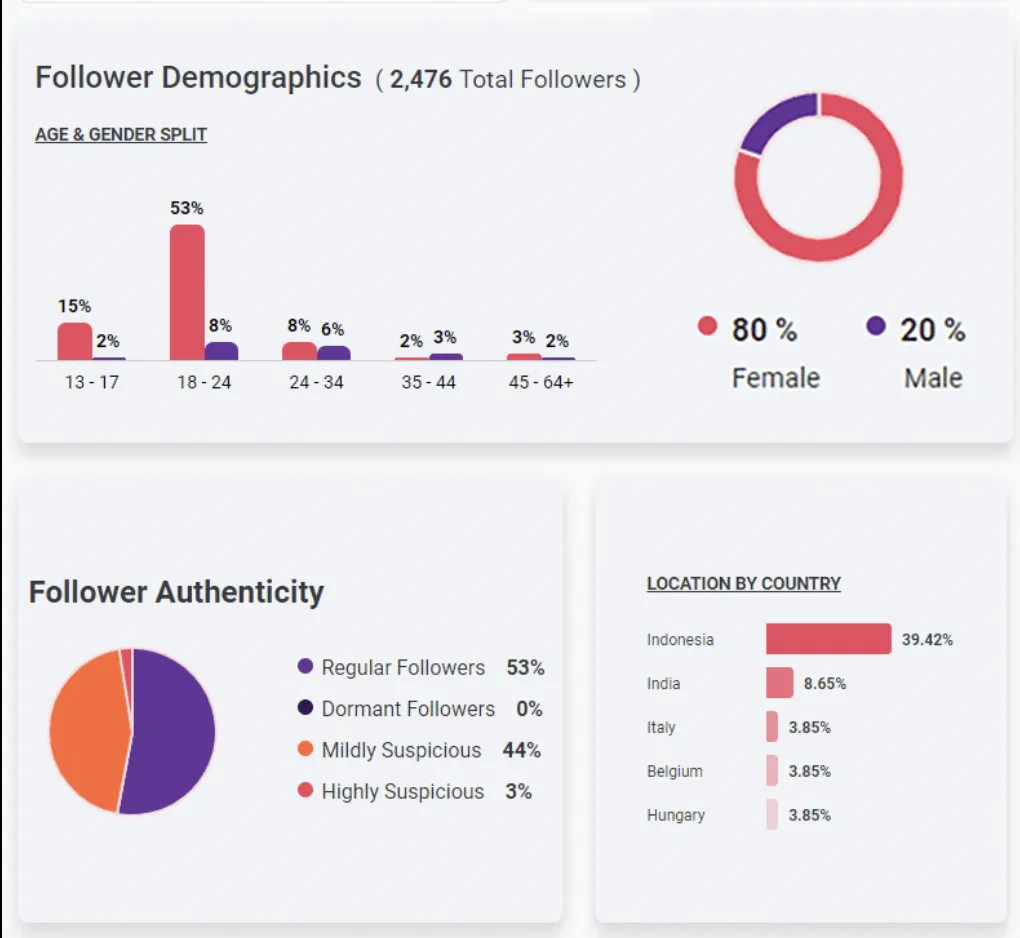 Analisa für Instagram-Analysen