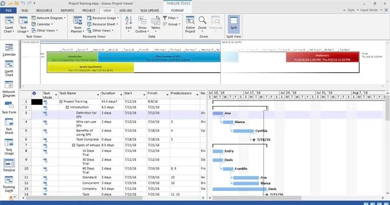 Seavus Project Viewer: visor de Microsoft Project