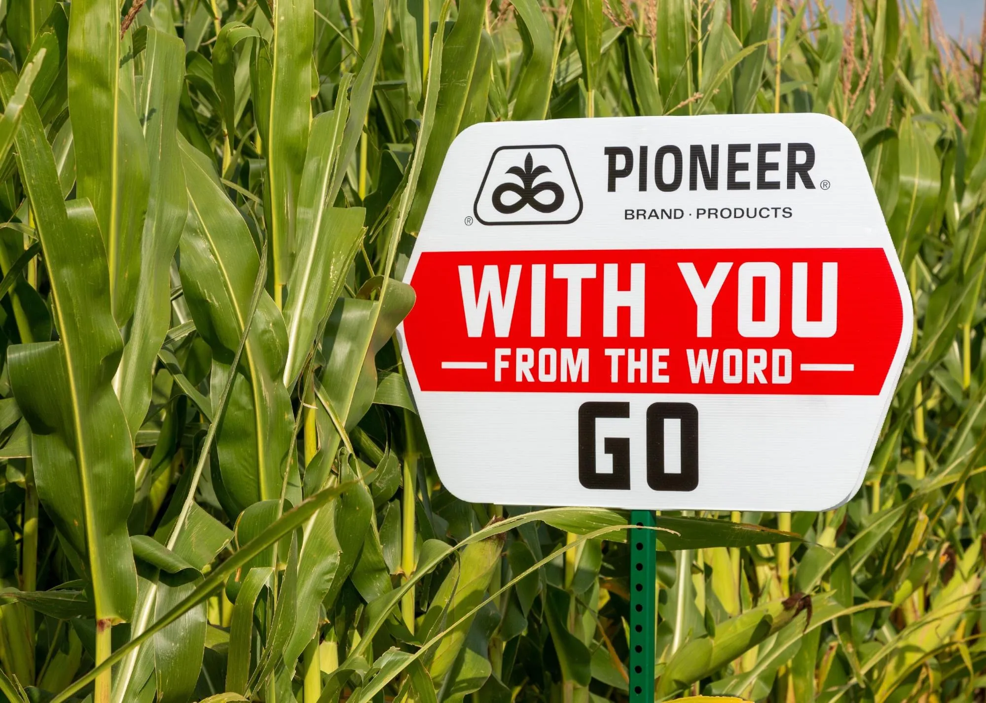 Pioneer Hi-Bred International Inc. tại Iowa