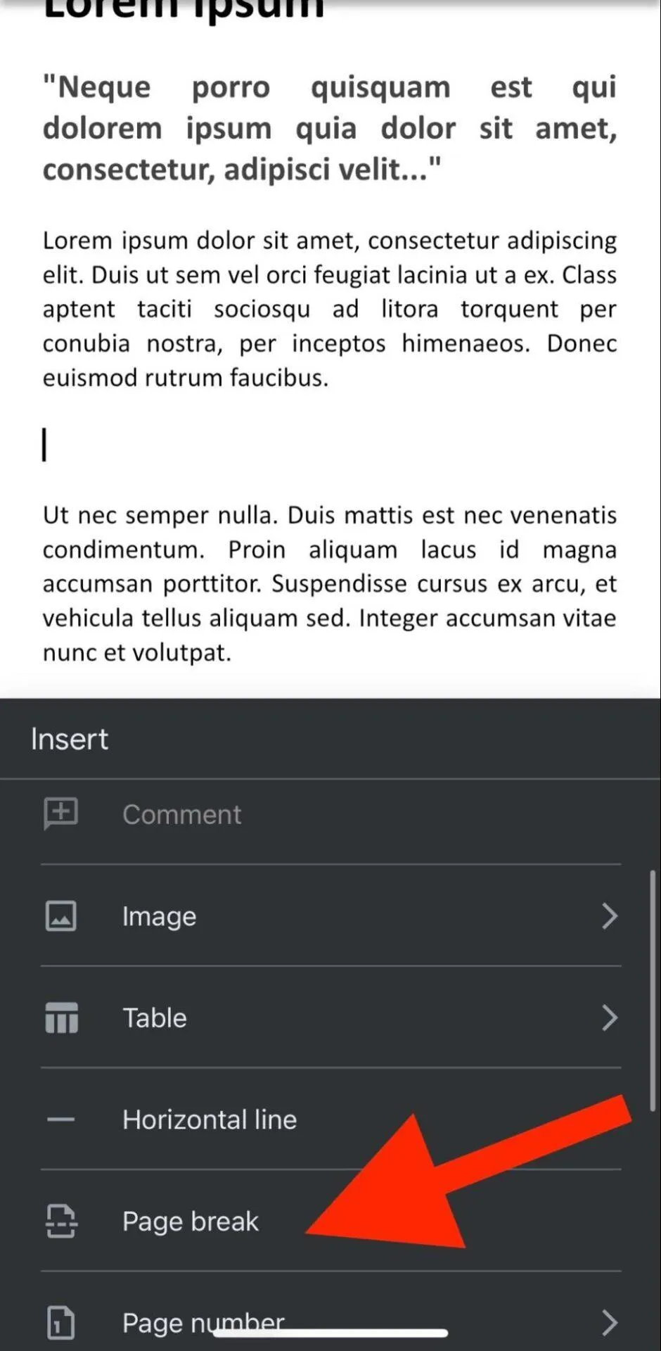 Klik 'Page Break' untuk menambahkan halaman baru di Google Docs
