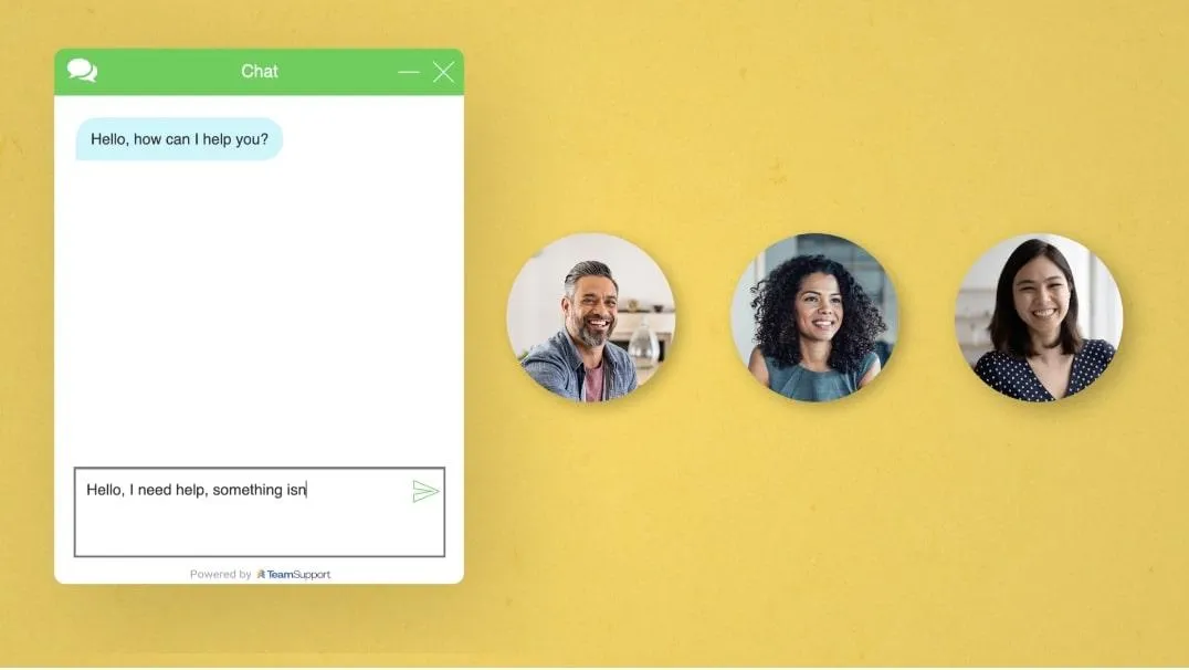 Software di assistenza tecnica: TeamSupport