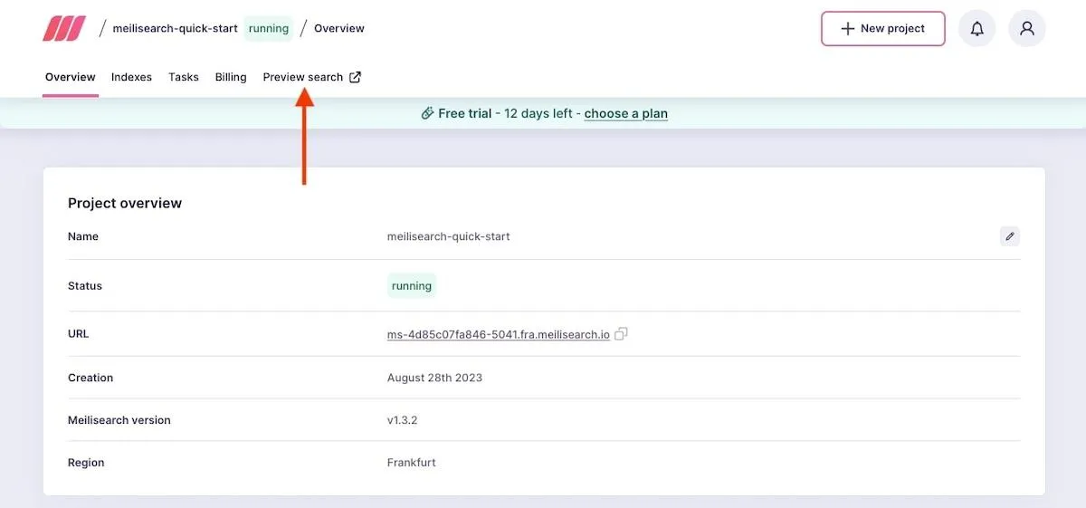 Alternative a Elasticsearch: freccia che punta all'opzione di ricerca Anteprima in Meilisearch