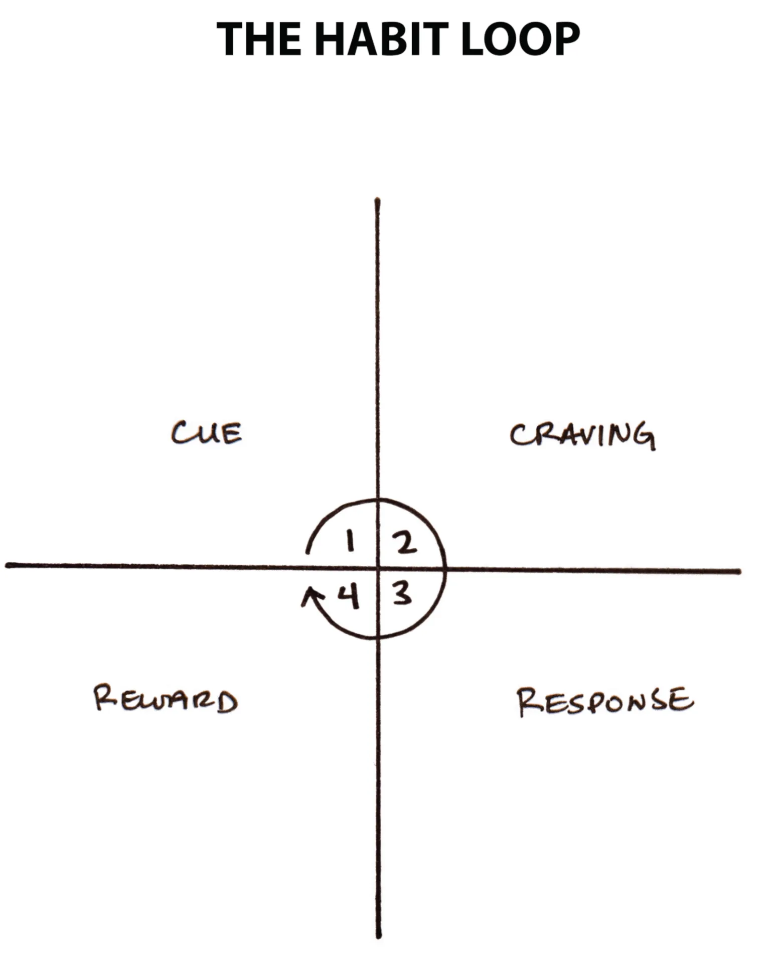 O ciclo do hábito