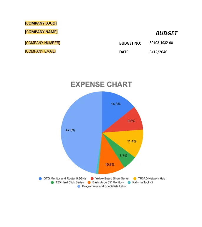 Modello di bilancio Documenti Google con grafici