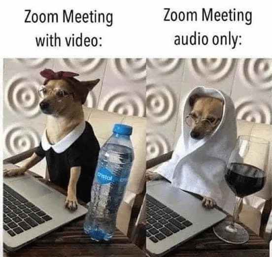 Meme pro Zoom: Jak se lidé oblékají na schůzky pouze s videem a zvukem