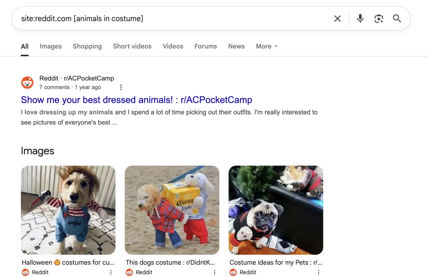 Google araması: Reddit'te Karma Nasıl Kazanılır?