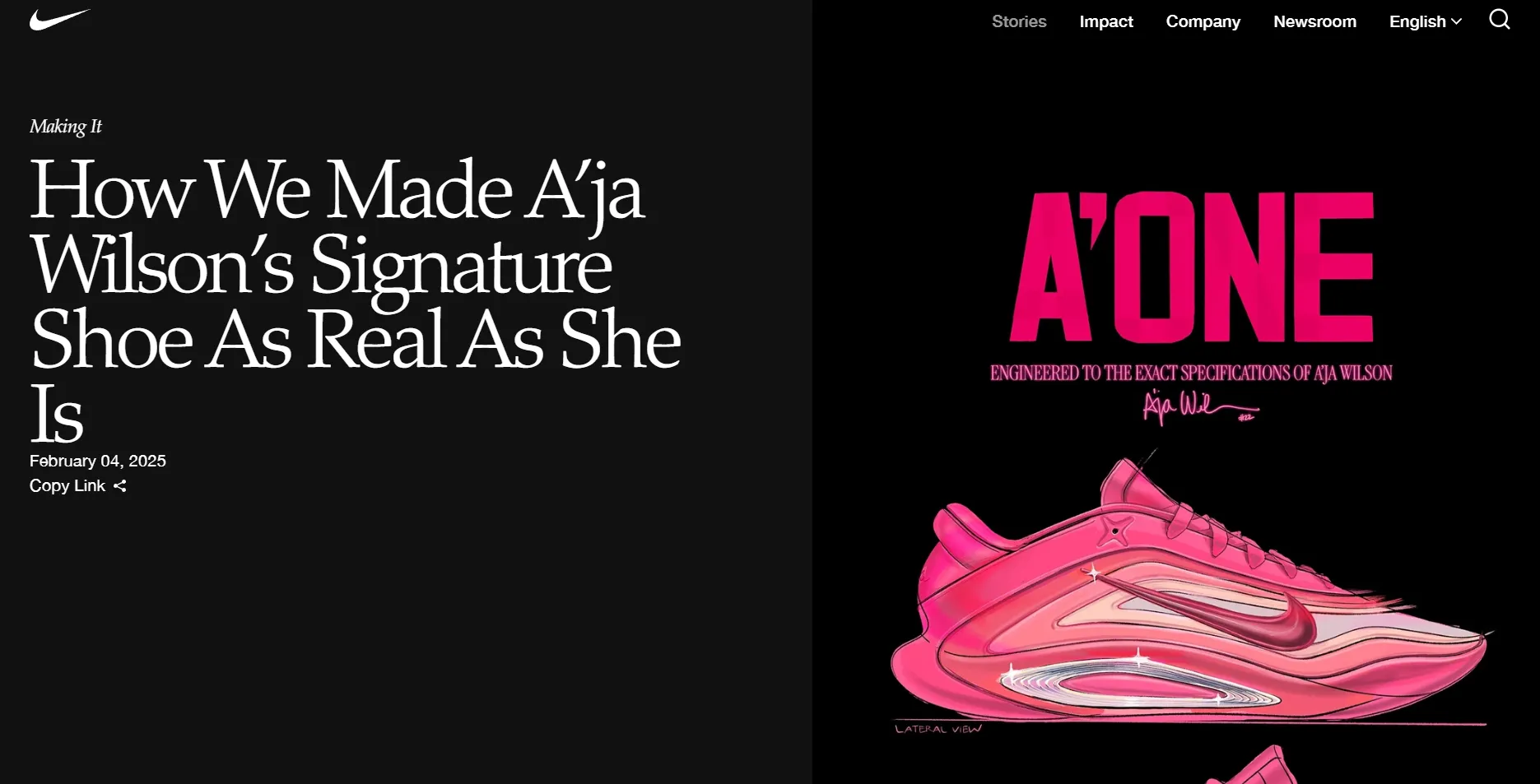 قصص Nike