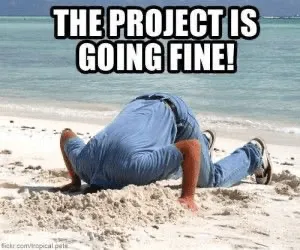 a projekt jól halad mém