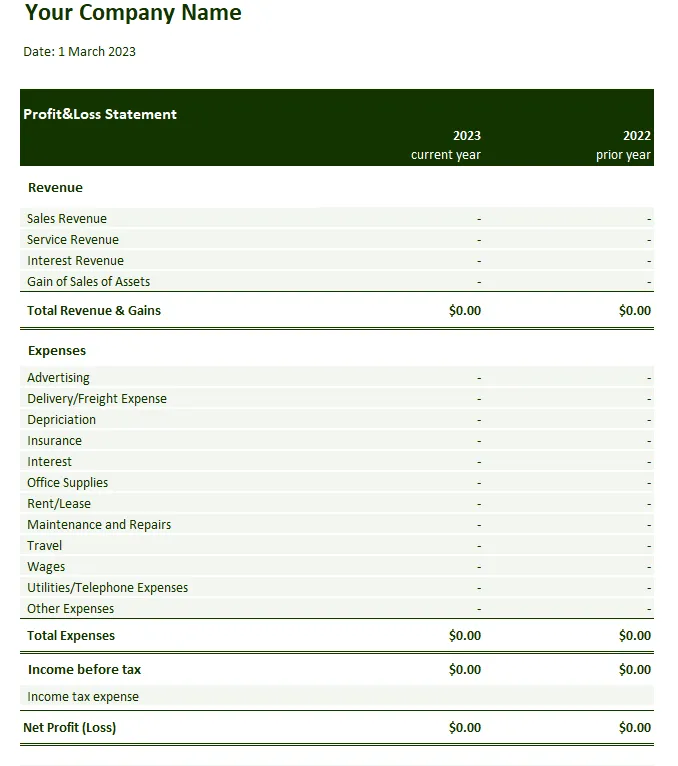 Modèle de compte de résultat Excel par Wise