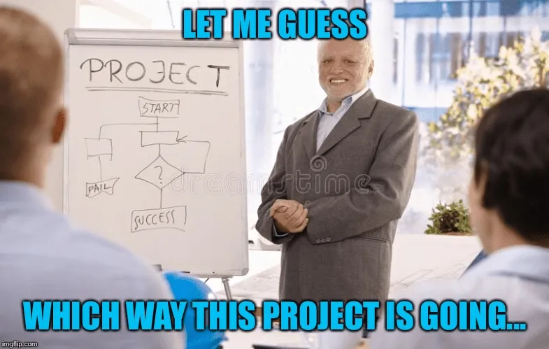 Projektirányítási mém