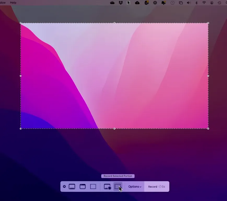 Wählen Sie die Aufnahmeoption: So nehmen Sie den Bildschirm auf einem Mac mit Audio auf