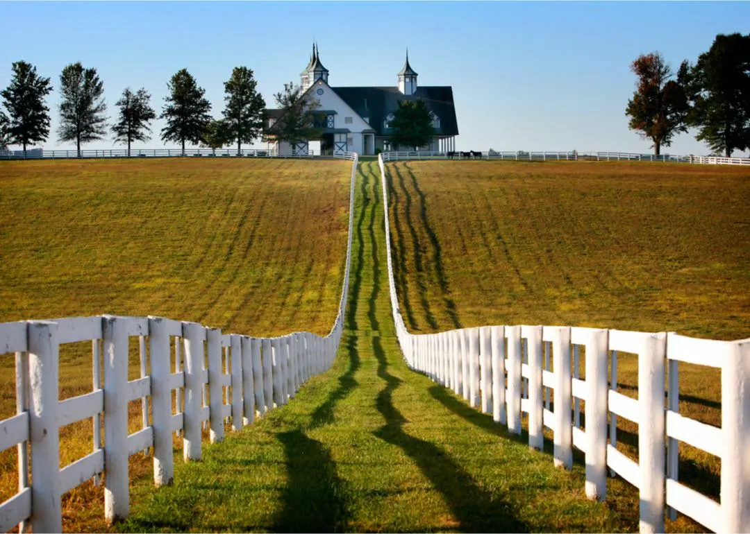 Ferme équestre rurale dans le Kentucky