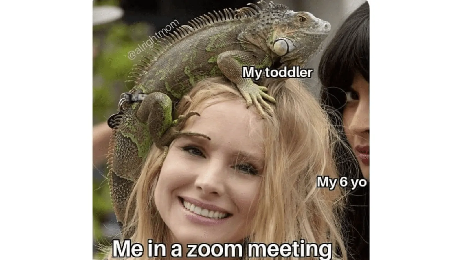 Děti se na vás lepí, zatímco jste na schůzce přes Zoom – mem