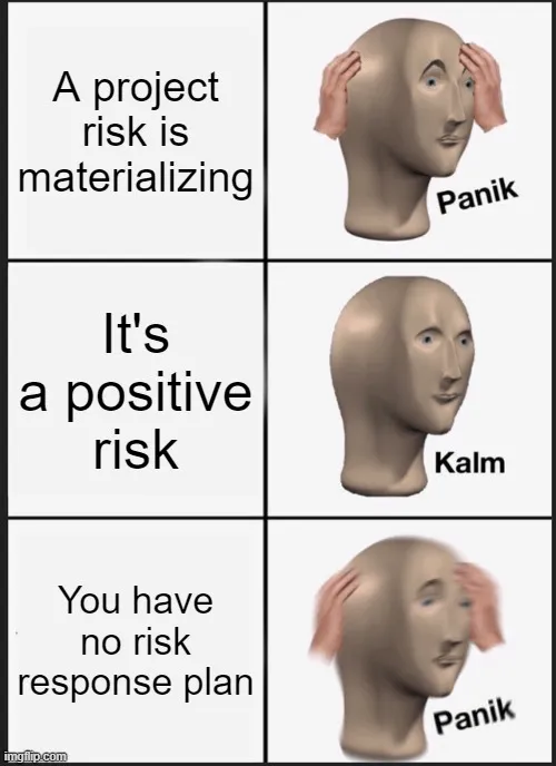 Projektkockázati mém