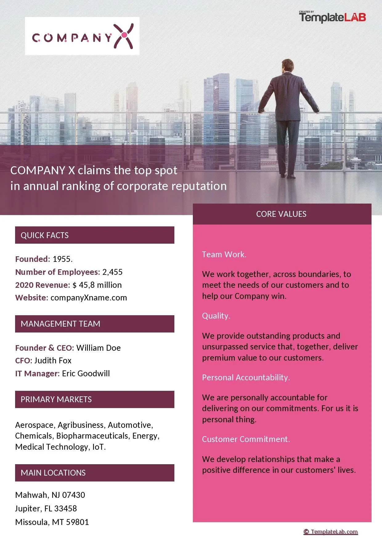 Modèle de fiche d'information d'entreprise Microsoft Word par TemplateLab