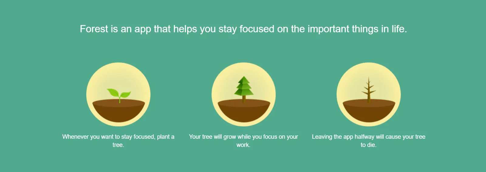 Forest: die besten Lern-Apps