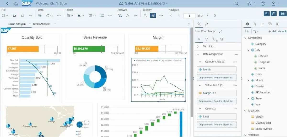 Software di business intelligence: dashboard di analisi delle vendite creata in SAP BusinessObjects