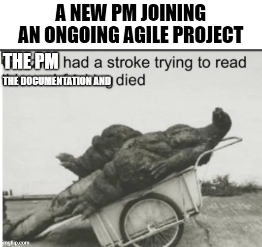 pm mém