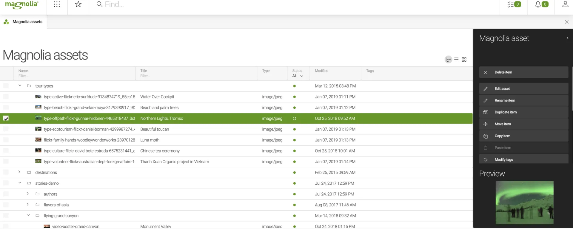 Headless-CMS-Software Magnolia