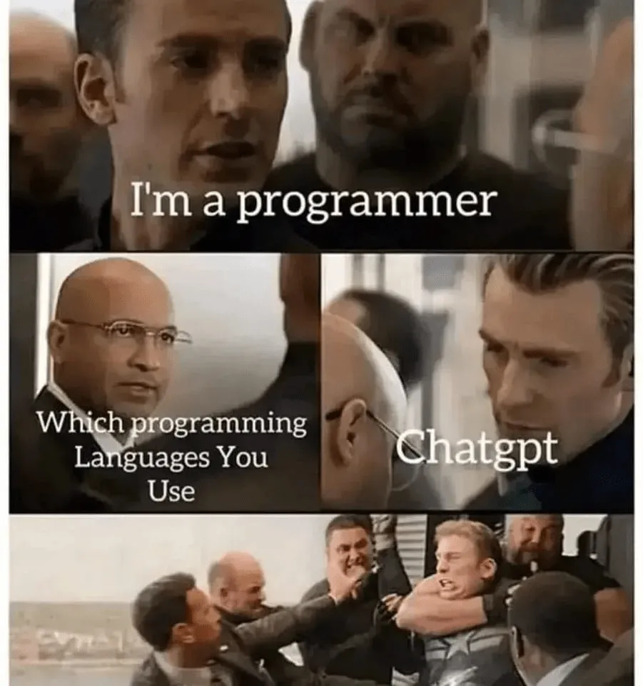 Meme de programador