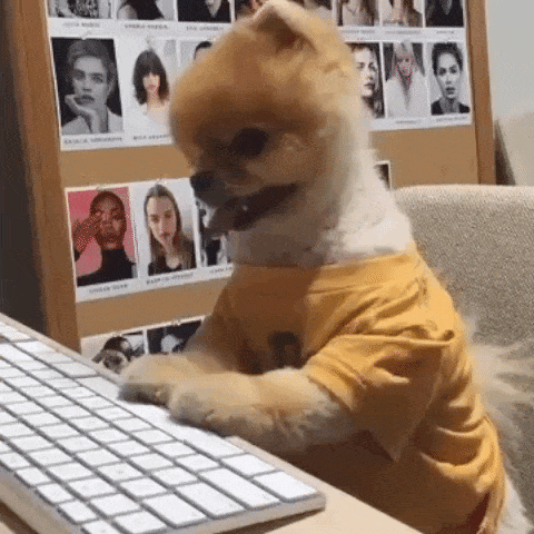 klavye üzerinde yazan köpek gif