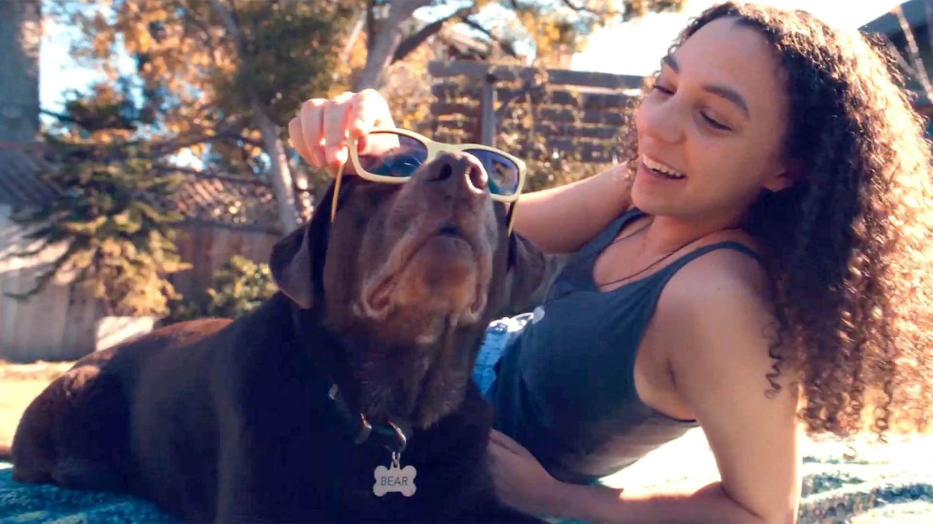 La publicité de The Farmer's Dog diffusée pendant le Super Bowl