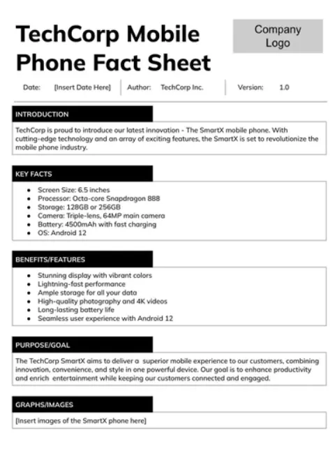 팩트 시트 템플릿 Google Docs :TemplateRadar.com