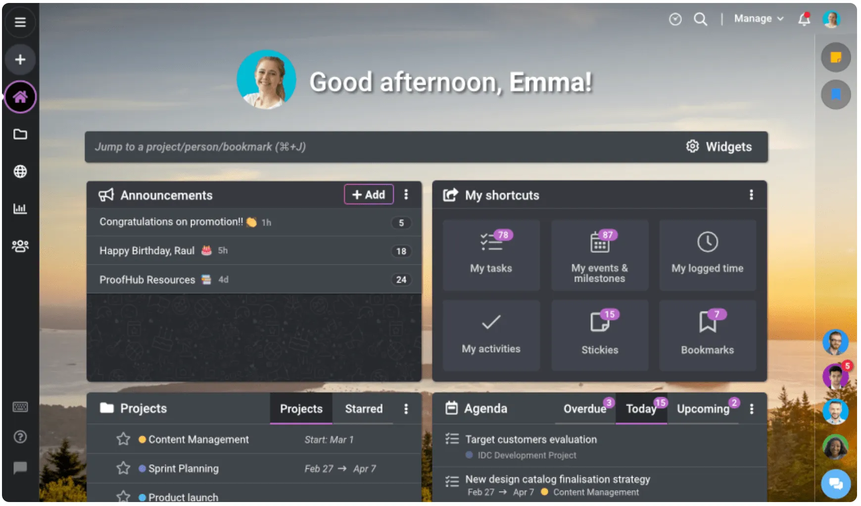 Voorbeeld van ProofHub-weergave