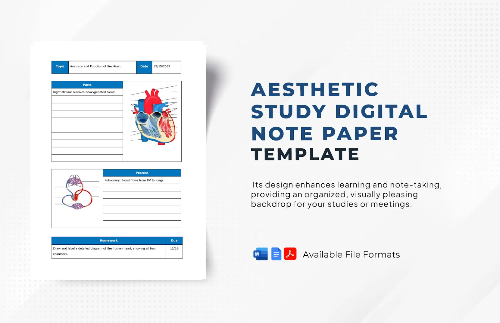 Modello di carta per appunti digitali Aesthetic Study: modelli estetici di Documenti Google