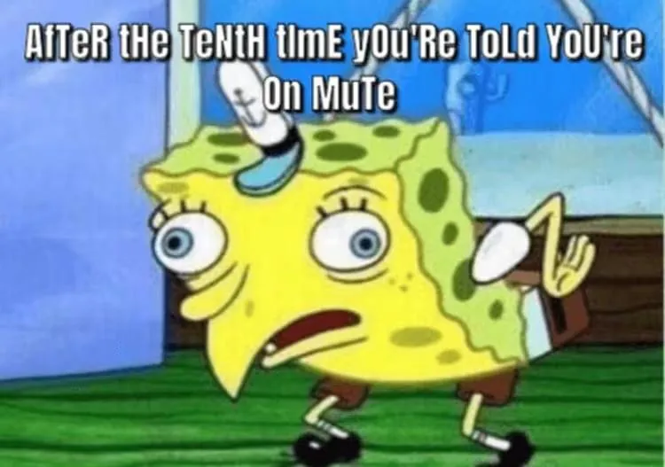 Meme pro Zoom: připomenutí, že máte vypnutý mikrofon