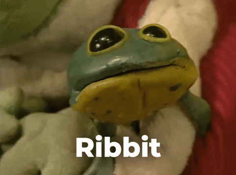 개구리 GIF_개구리를 먹어라