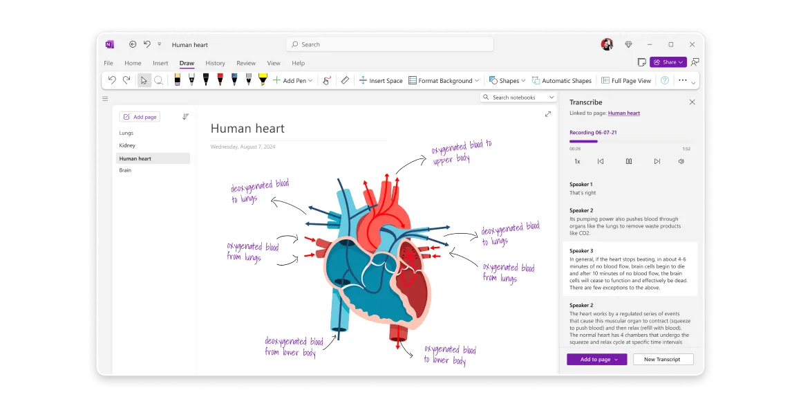 Microsoft OneNote: alternative ad Amplenote