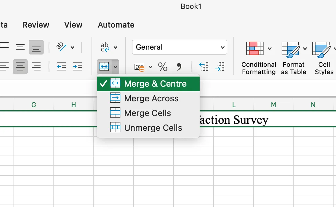 Excel'de anket oluşturmayı öğrenmek için Excel sayfanızı ayarlayın