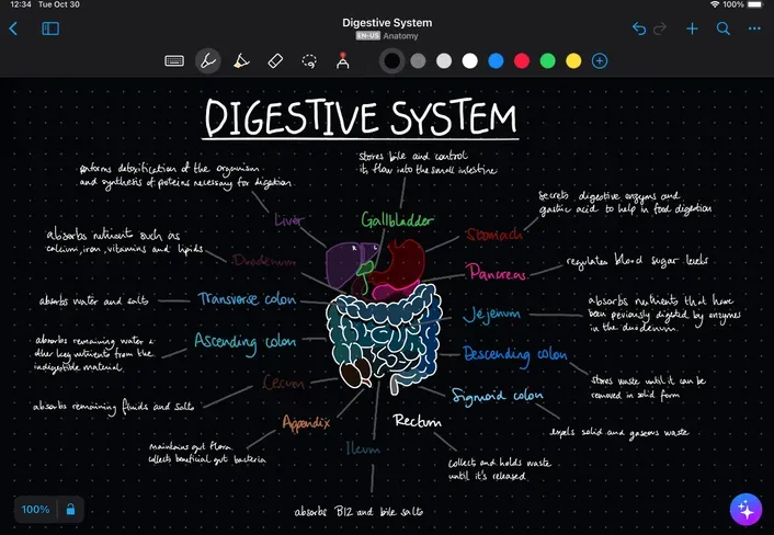 tramite MyScript Notes: la migliore app per prendere note su Android