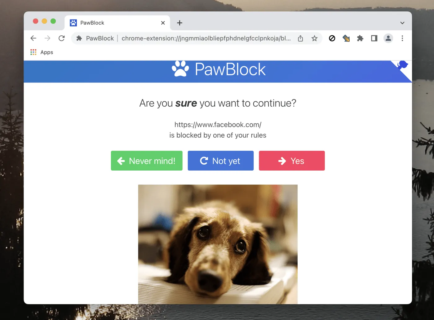 Blockieren Sie ablenkende Websites mit PawBlock, wenn Sie etwas erledigen müssen.