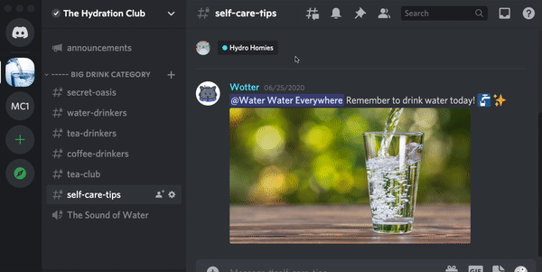 Discord nabízí ve srovnání s jinými aplikacemi více nástrojů zaměřených na komunitu.