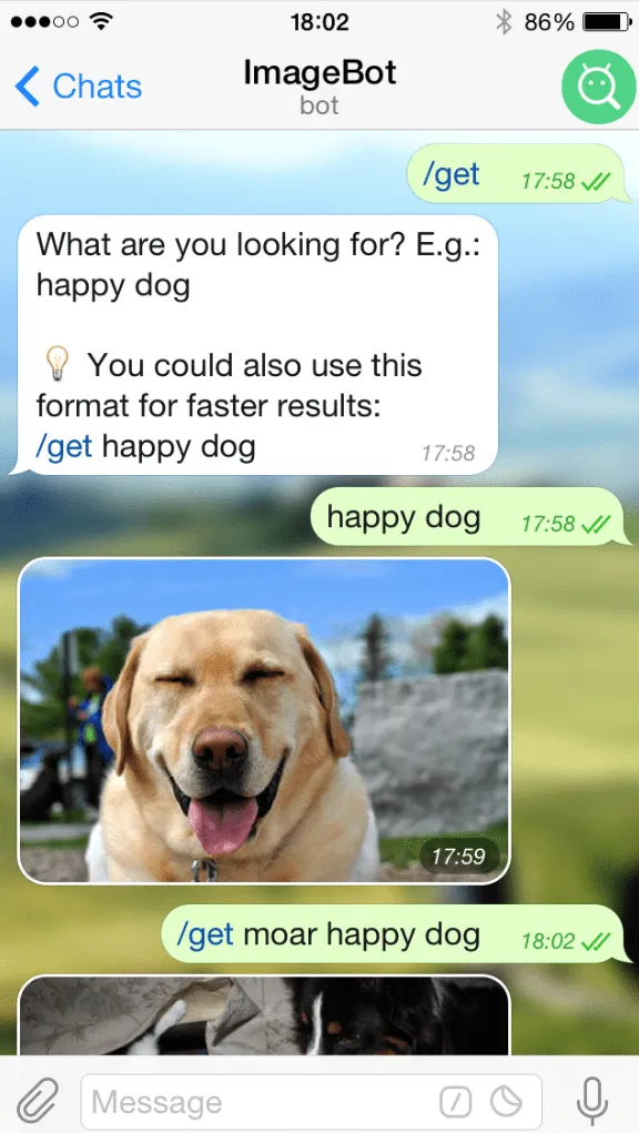 Telegram botları: Özel komutlarla görevleri otomatikleştirin: İşletmeler için Telegram ve WhatsApp