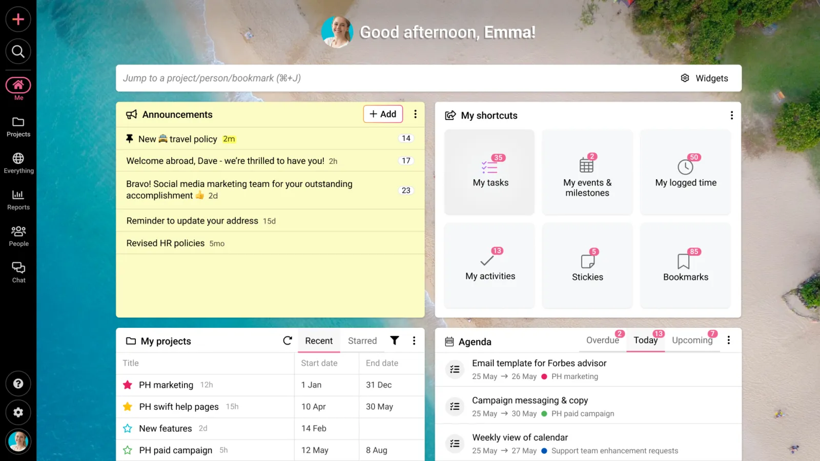 ProofHub: Software für die Verwaltung des Geschäfts für die Delegierung von Aufgaben