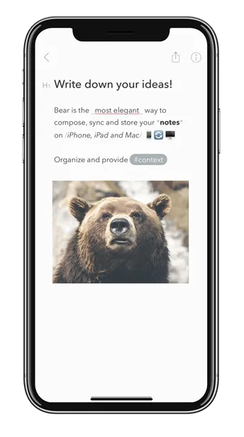 bear uygulaması