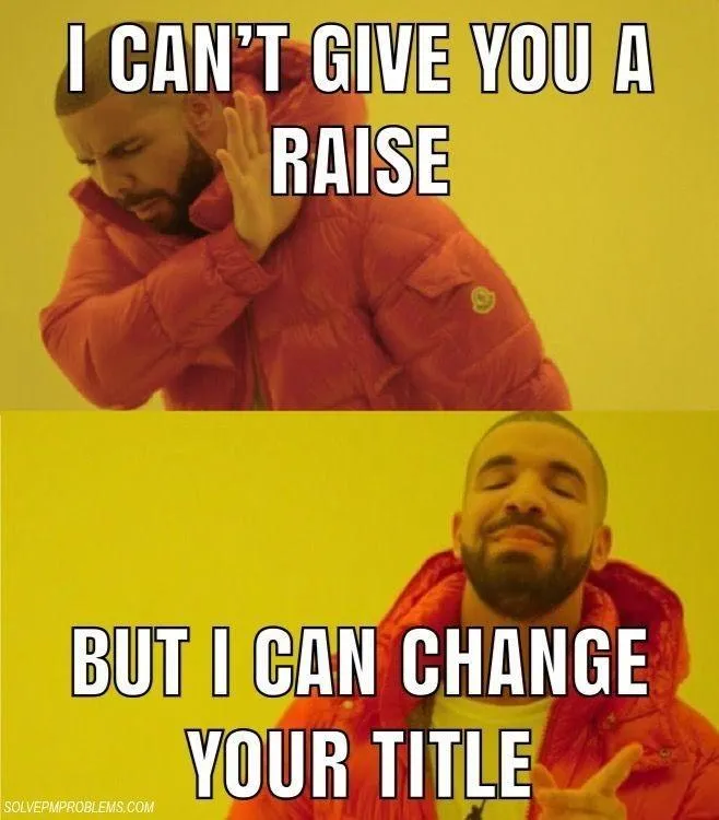 projektmenedzser címváltozás mém