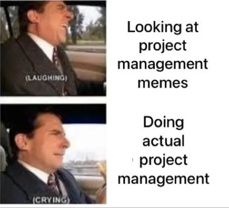 projektmenedzsment mém