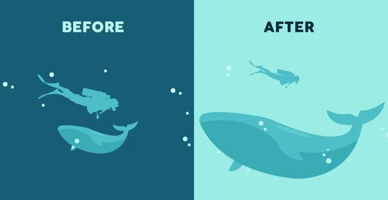 El uso de la proporción como principio clave del diseño.