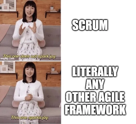 scrum mém