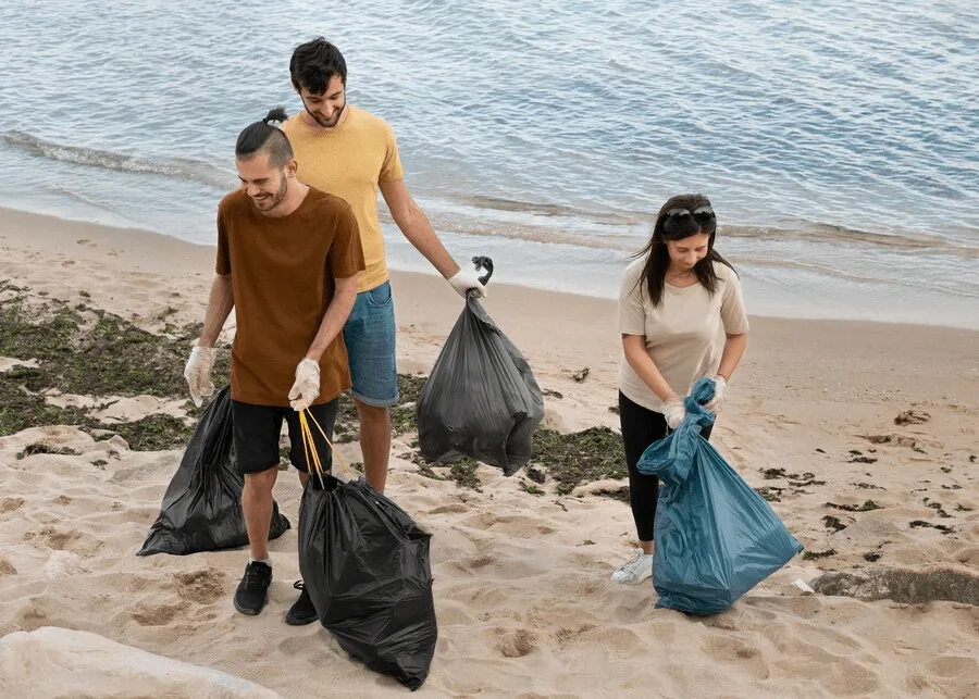 Pulizia del parco/della spiaggia