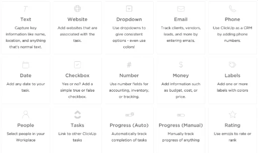 คุณสมบัติของฟิลด์ที่กำหนดเองของ ClickUp