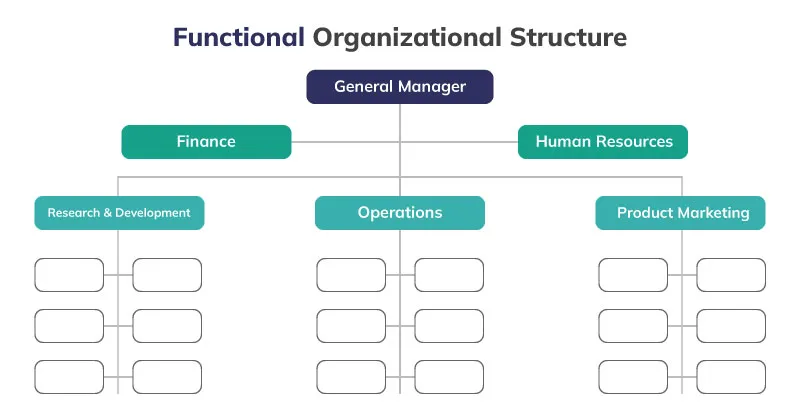Estrutura organizacional funcional