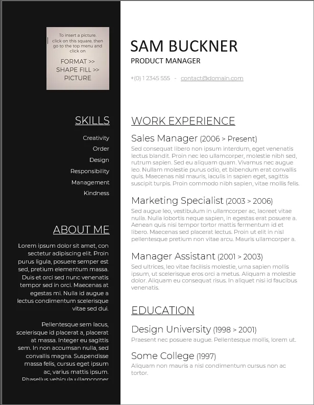 Modelo de currículo cronológico para gestão de produtos da Freesumés
