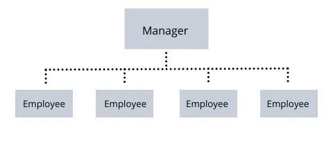 Structure organisationnelle horizontale