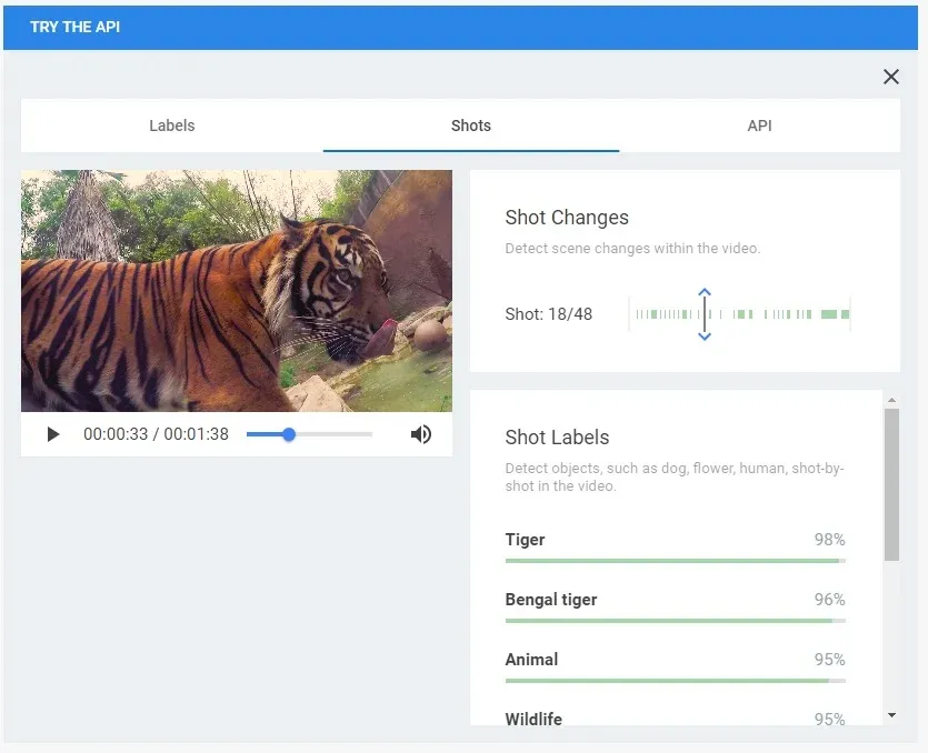 Google Cloud Video Intelligence — analizator wideo AI