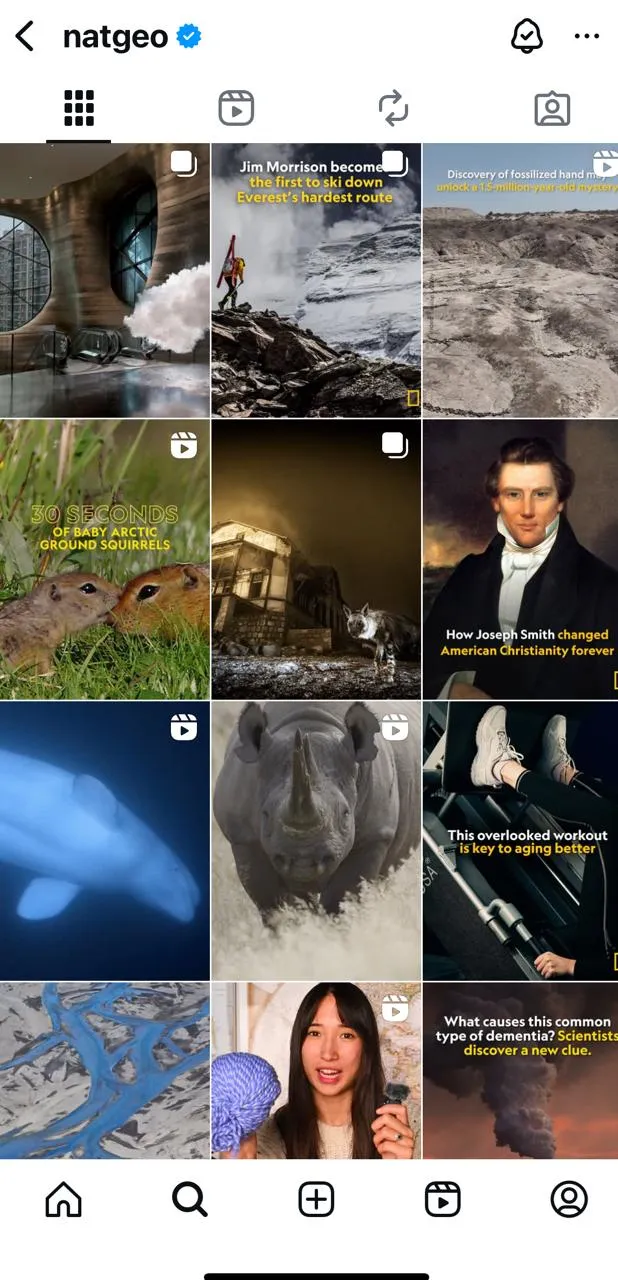 Instagram da National Geographic: reconhecimento da marca